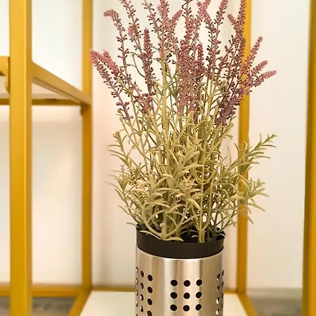 Coral Pool & Mamaia Nord Apartmán 3*