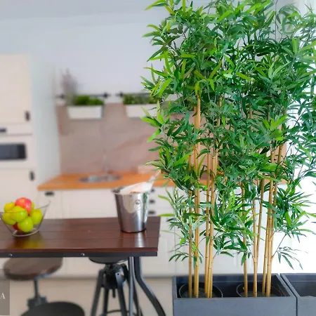 Coral Pool & Mamaia Nord Apartmán